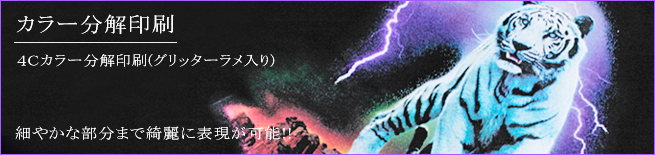 カラー分解印刷